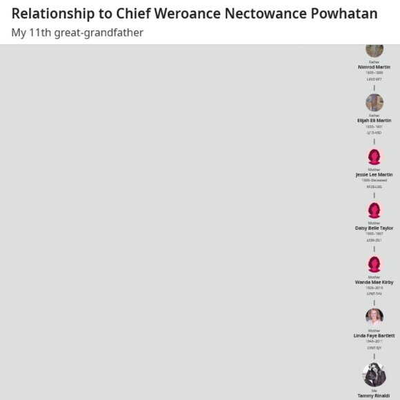 Stunning NAVAJO Custom Made Native American Headdress - Picture 7 of 9